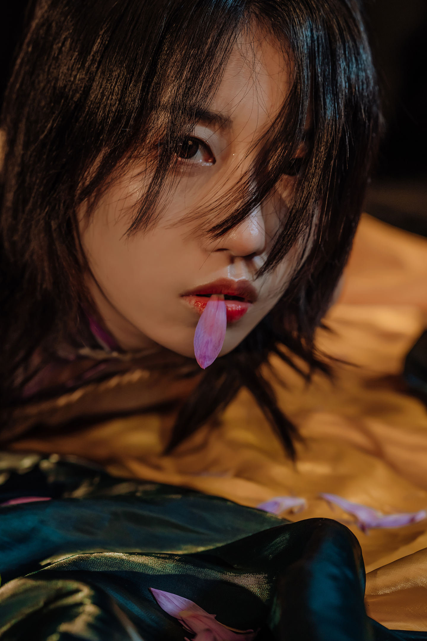 云溪溪 NO.007 花与绳