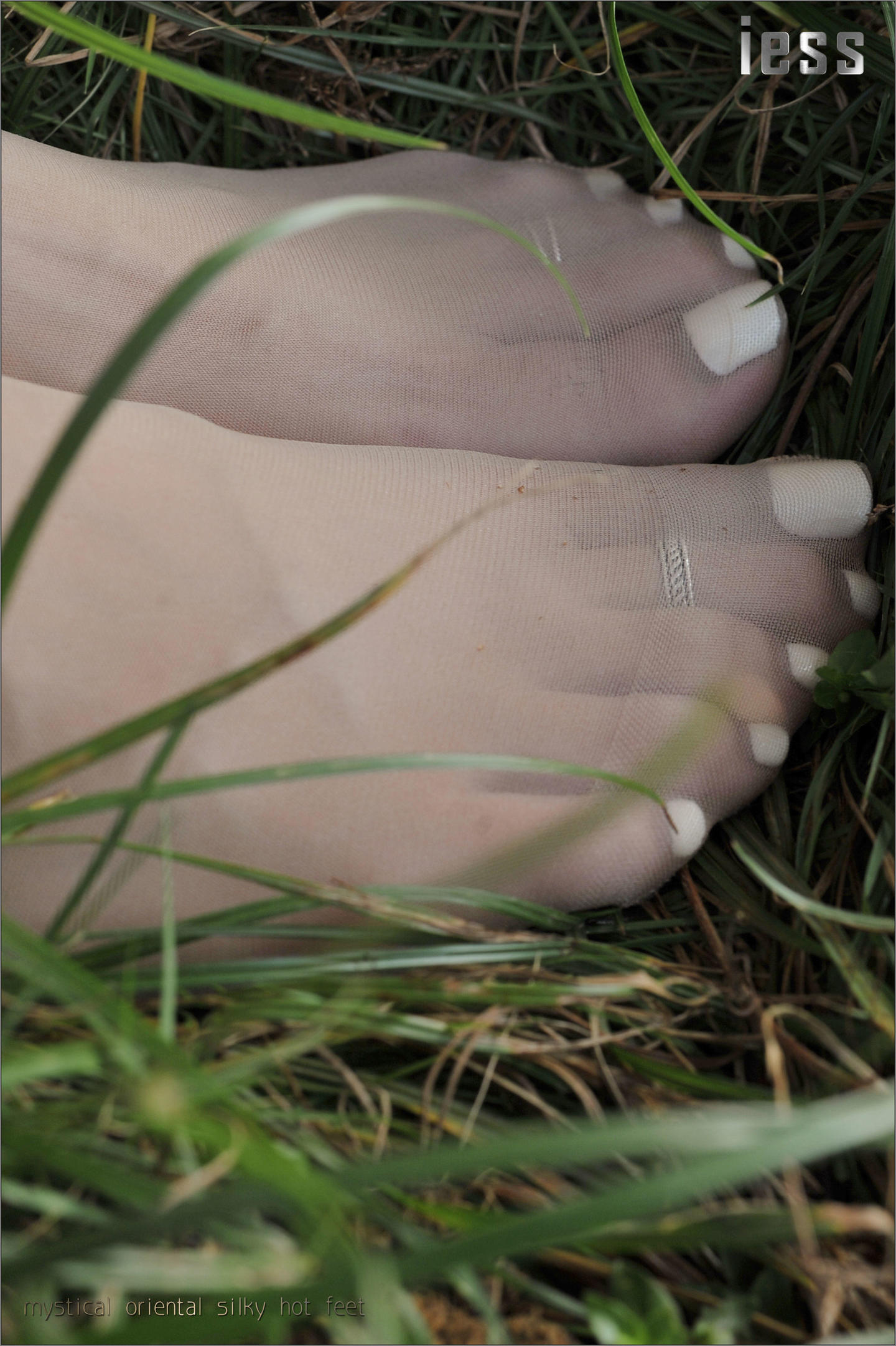 [IESS异思趣向] 2016.10.13 丝足便当016：《阳光下的罂粟花》SASA