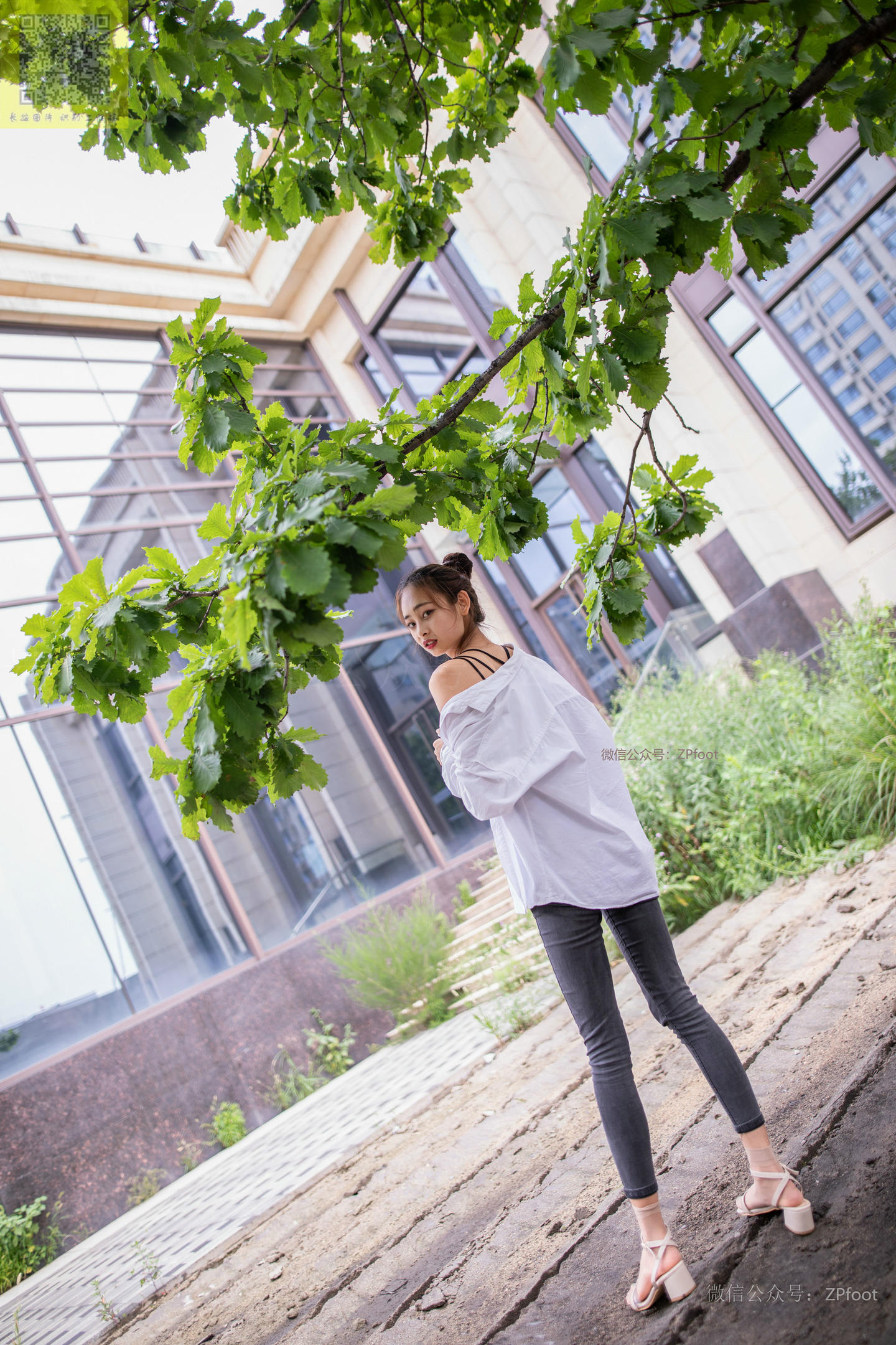 ISS山茶摄影 207 田田
