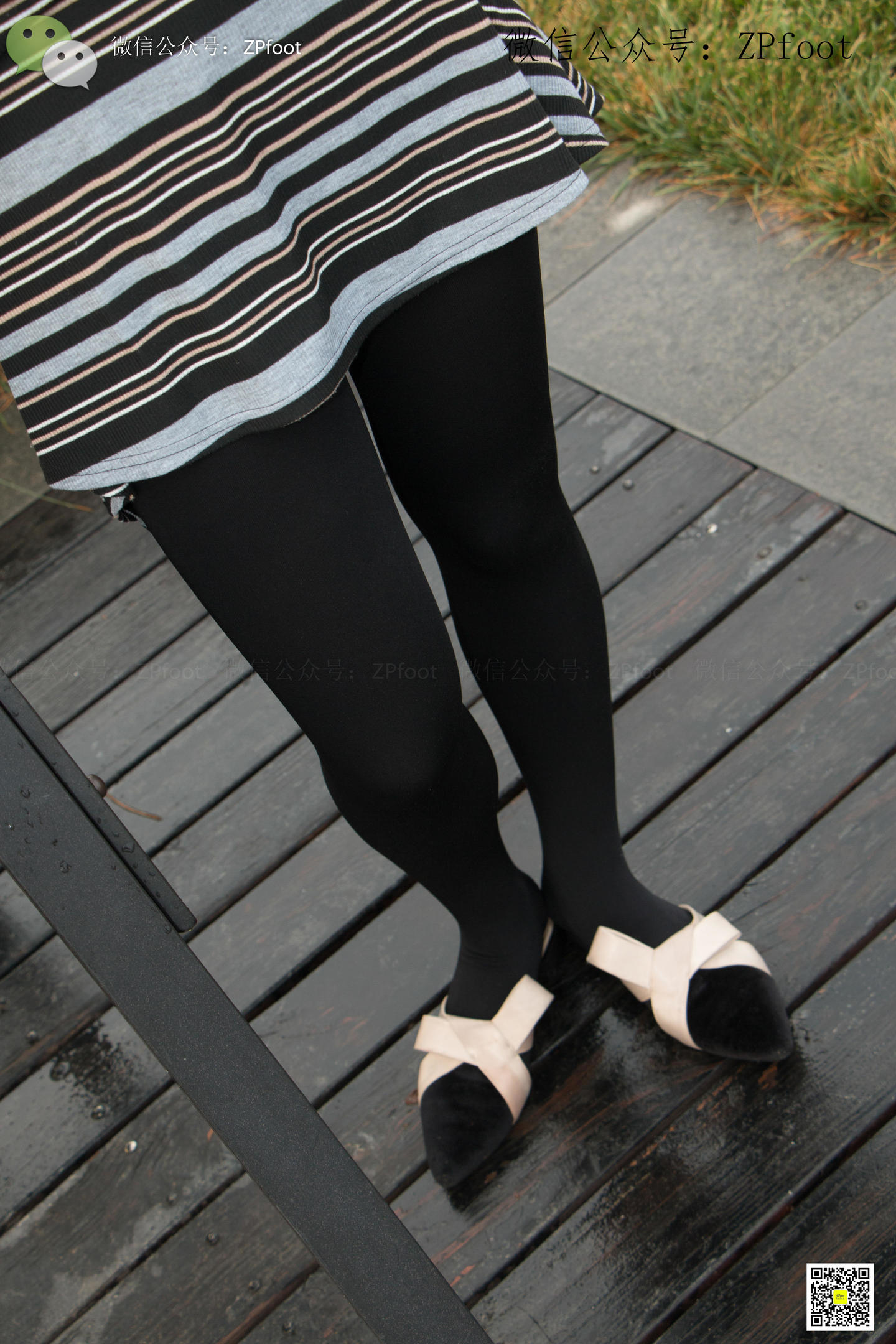 ISS山茶摄影 251 芍药的厚黑丝