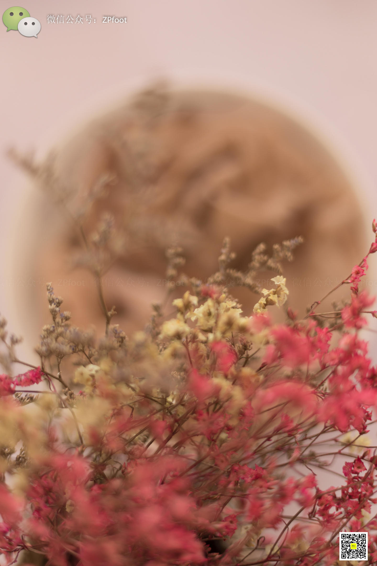 ISS山茶摄影 270 丝袜泡水喝吗