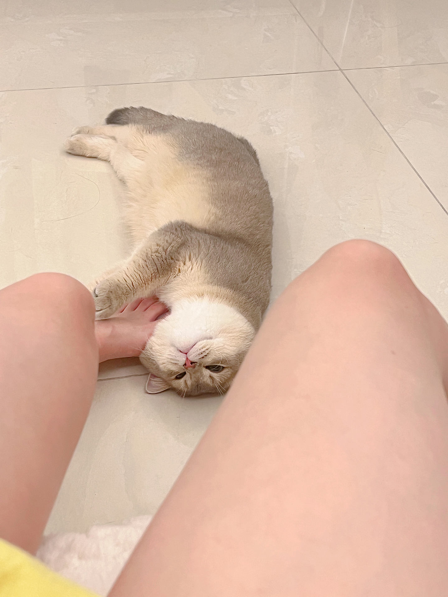 眼酱大魔王w  NO.68 23年06月fantia会员合集