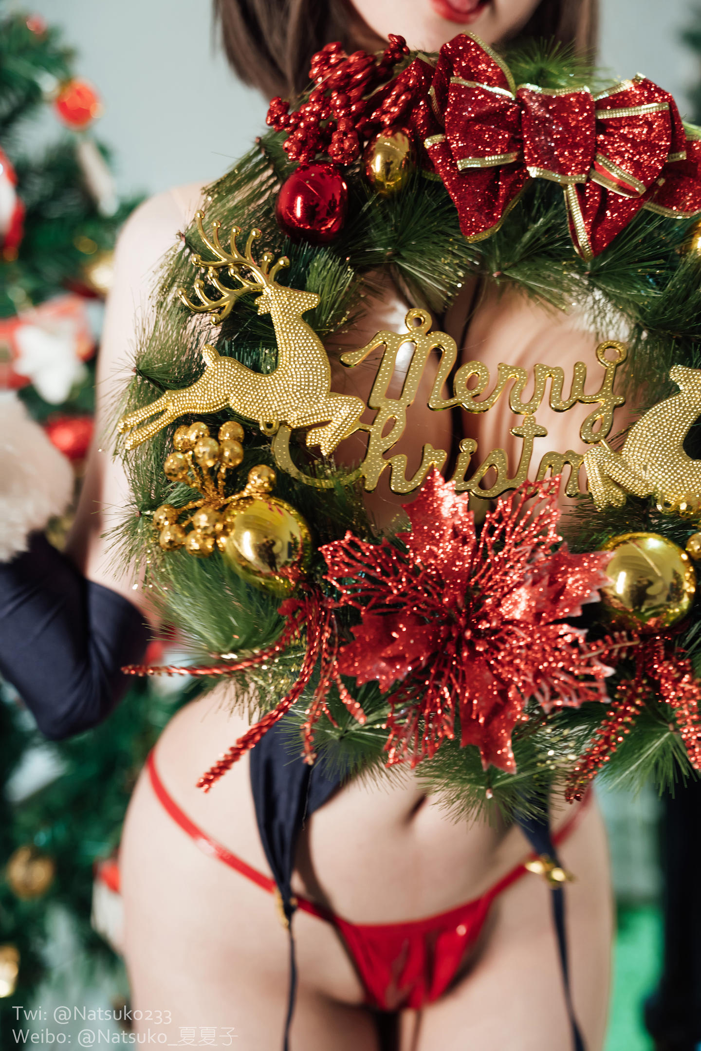 Natsuko夏夏子 – NO.37 圣诞魔太郎 1V